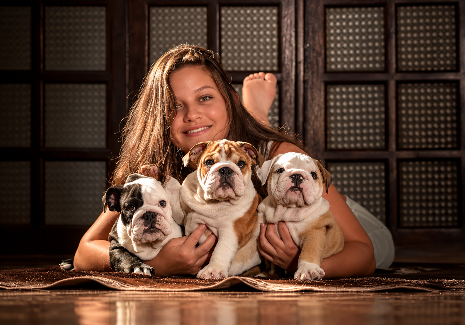 Pessoa com três filhotes de Bulldog Inglês na fotografia original fornecida para O Canil